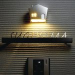 mino_2017_LIG-5_02