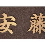 fuku_2019_IB-8