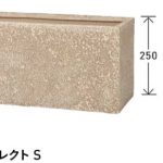 uni_2022_SAN_r_S
