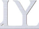 CMT-S1