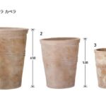 uni_2025_TA_kape_L