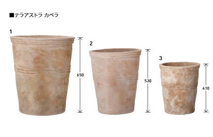 uni_2025_TA_kape_L
