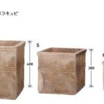 uni_2025_TA_kape_c_L