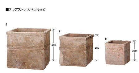uni_2025_TA_kape_c_M